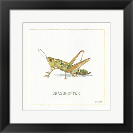 Framed My Greenhouse Grasshopper Print