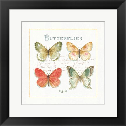 Framed Rainbow Seeds Butterflies III Print
