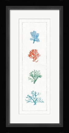 Framed Water Coral VII Print