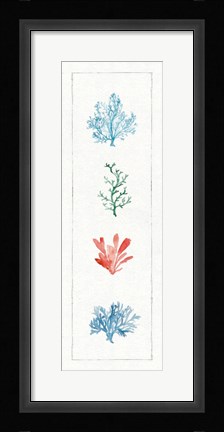 Framed Water Coral VIII Print