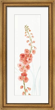 Framed Rainbow Seeds Flowers VII Coral Print