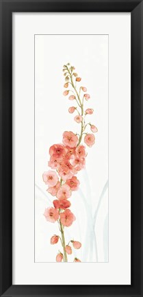 Framed Rainbow Seeds Flowers VII Coral Print