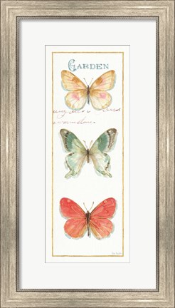 Framed Rainbow Seeds Butterflies II Print