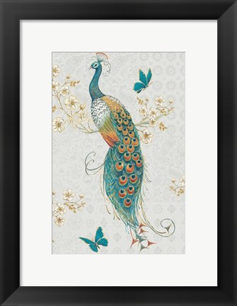 Framed Ornate Peacock IXA Print
