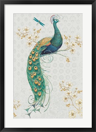 Framed Ornate Peacock IXA Print