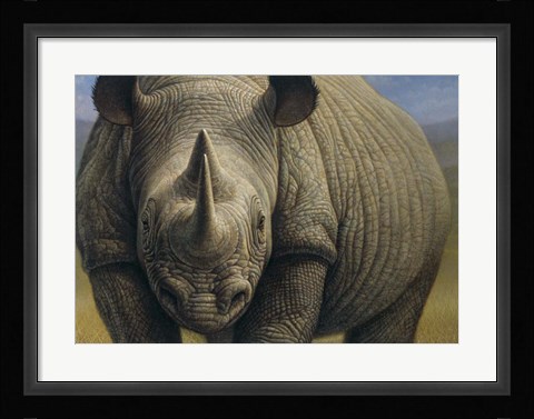 Framed Rhinos Print