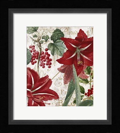 Framed Amaryllis Print