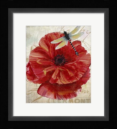 Framed Le Pavot Dragonfly Print