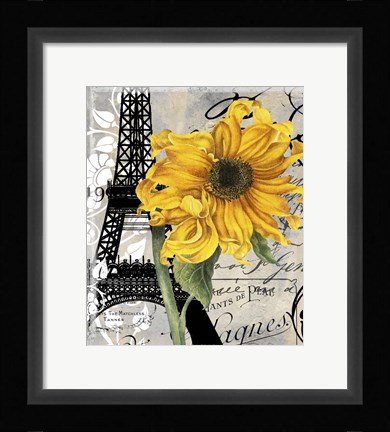 Framed Paris Blanc Print
