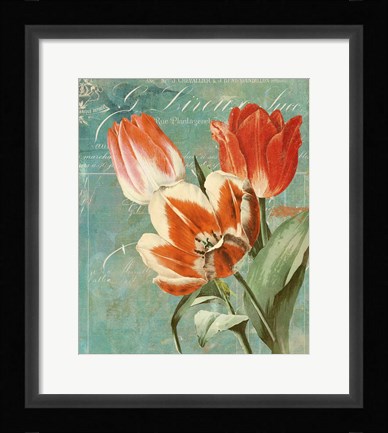 Framed Tulips Ablaze II Print