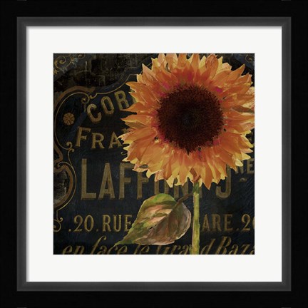 Framed Sunflower Salon II Print