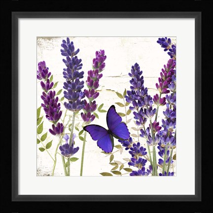 Framed Lavande I Print