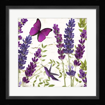 Framed Lavande II Print