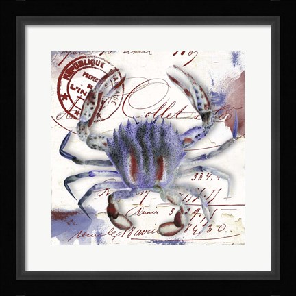 Framed Oceania II Print