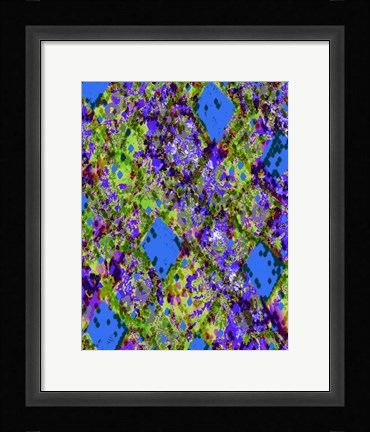 Framed Snake Skin III Print