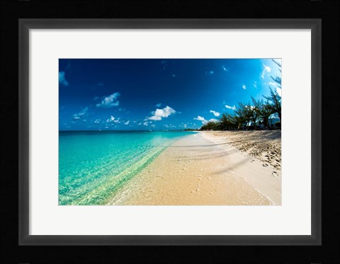Framed Cayman Islands Beach Print