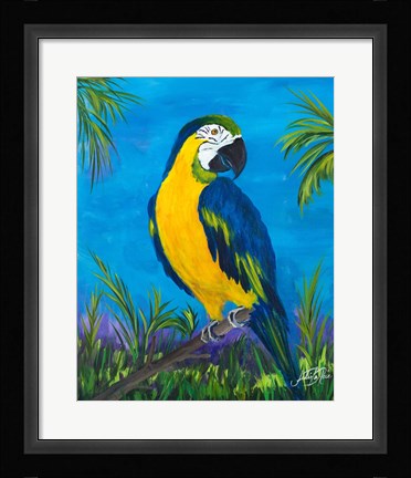 Framed Island Birds II Print