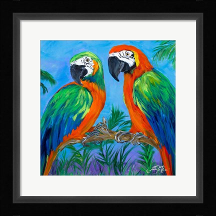 Framed Island Birds Square I Print