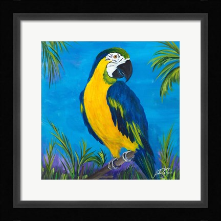 Framed Island Birds Square II Print