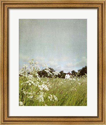 Framed In the Pasture Print