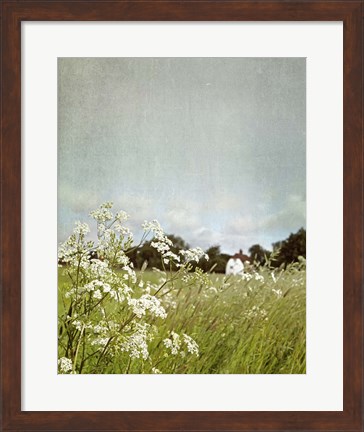 Framed In the Pasture Print