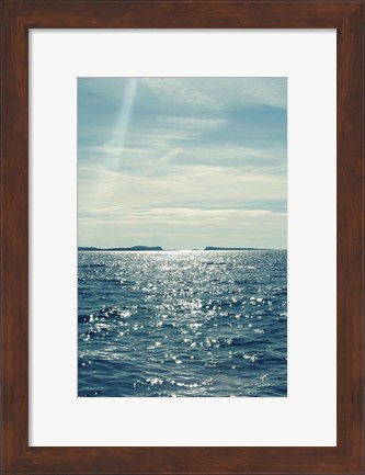 Framed North Eastern Coastal I Print