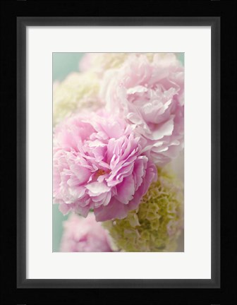 Framed Soft Pink Blooms Print