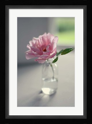 Framed Evening Blooms Print
