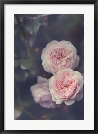 Framed Hiding Blooms Print
