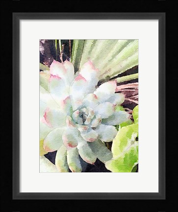 Framed Watercolor Green Succulent Print