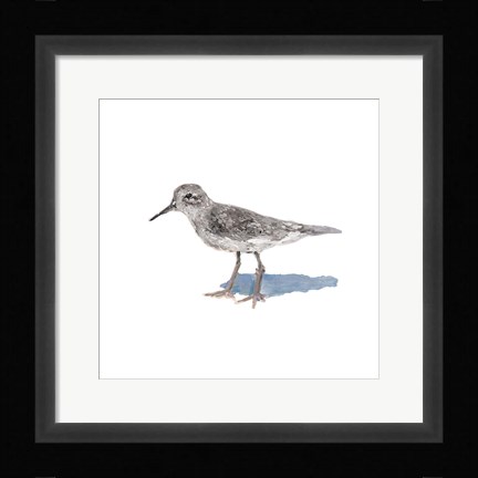 Framed Sandpiper on White II Print