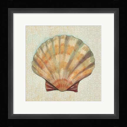 Framed Coastal Treasures I Print