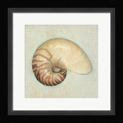 Framed Coastal Treasures III Print