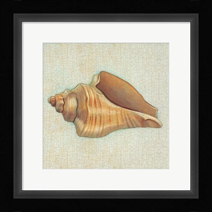 Framed Coastal Treasures II Print