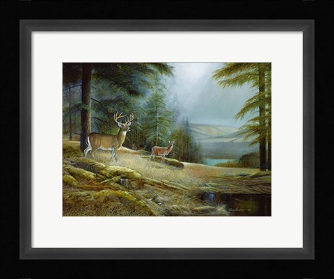 Framed Mountaintop Retreat Print