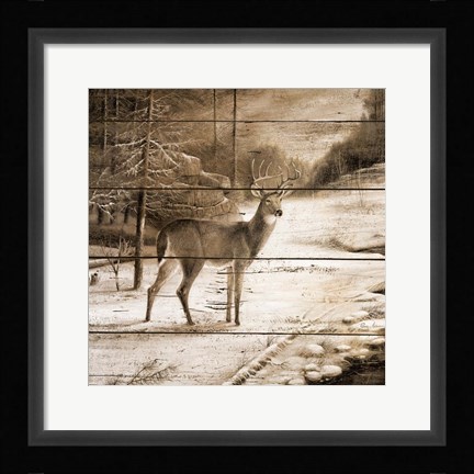 Framed Shadows of the Forest Print