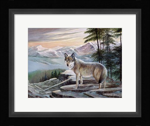 Framed Sentinel Print