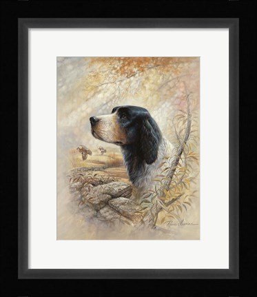 Framed English Pointer Print