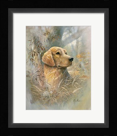 Framed Golden Beauty Print
