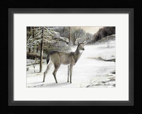 Framed Snowy Mornings Print