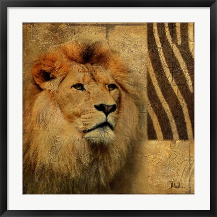 Framed Elegant Safari II (Lion) Print