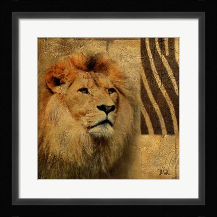 Framed Elegant Safari II (Lion) Print