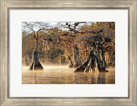 Framed Cypress Creek I Print
