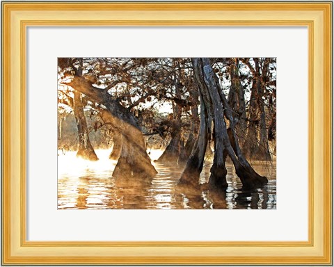 Framed Cypress Creek II Print