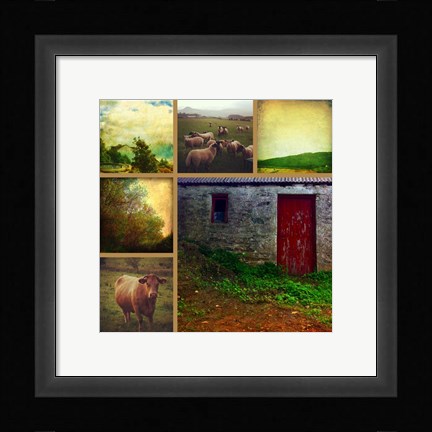 Framed Livestock Print