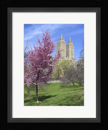 Framed Central Park Spring Colors Print