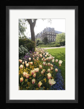 Framed Paris Flowers Print