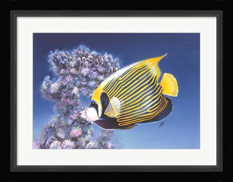 Framed Emperor Angel Print