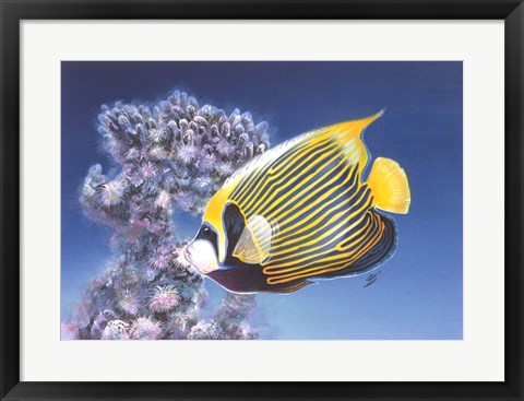 Framed Emperor Angel Print