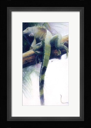 Framed Iguana Print